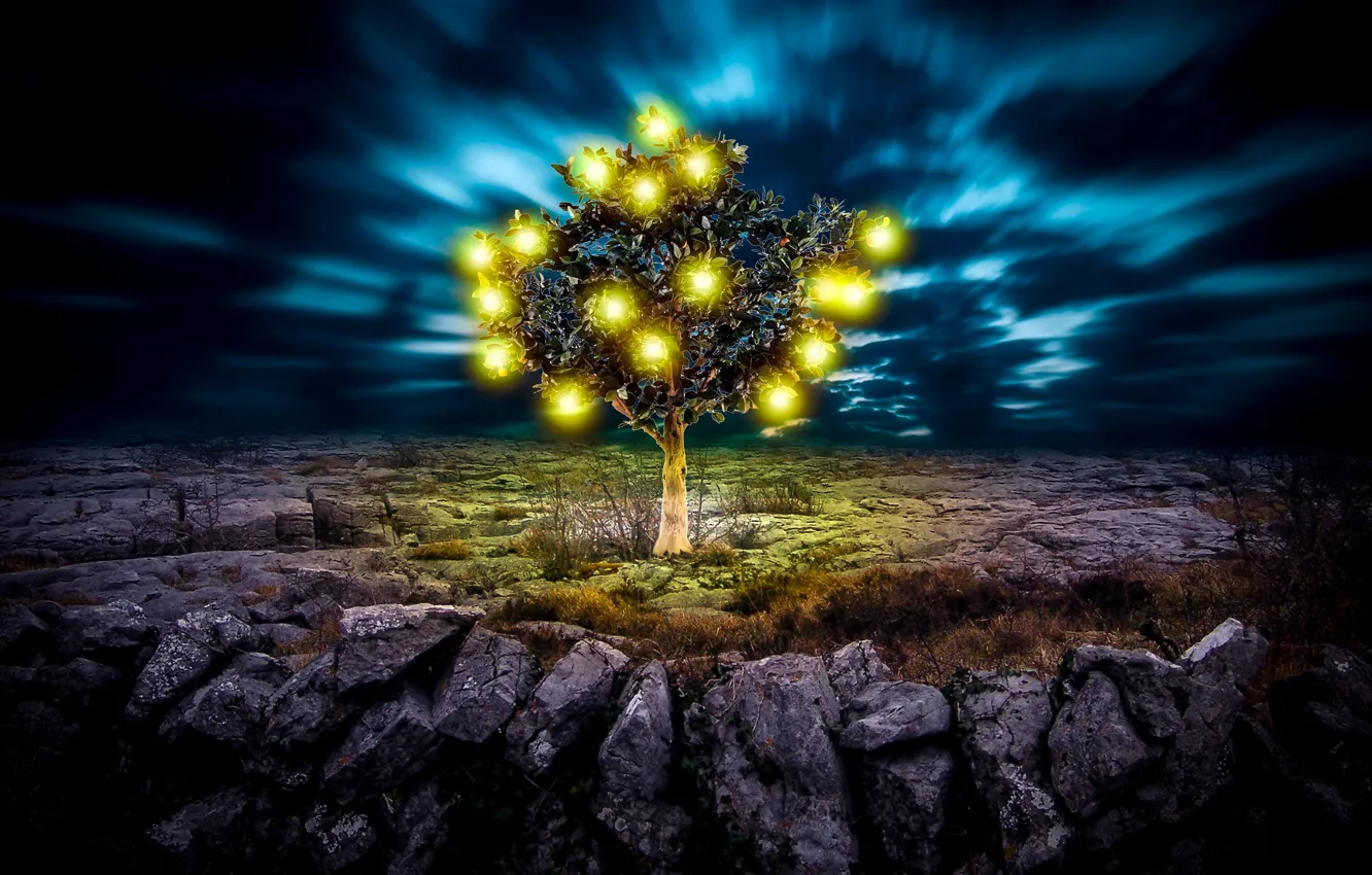 Photo wallpaper light, sky, cloud, tree, ground