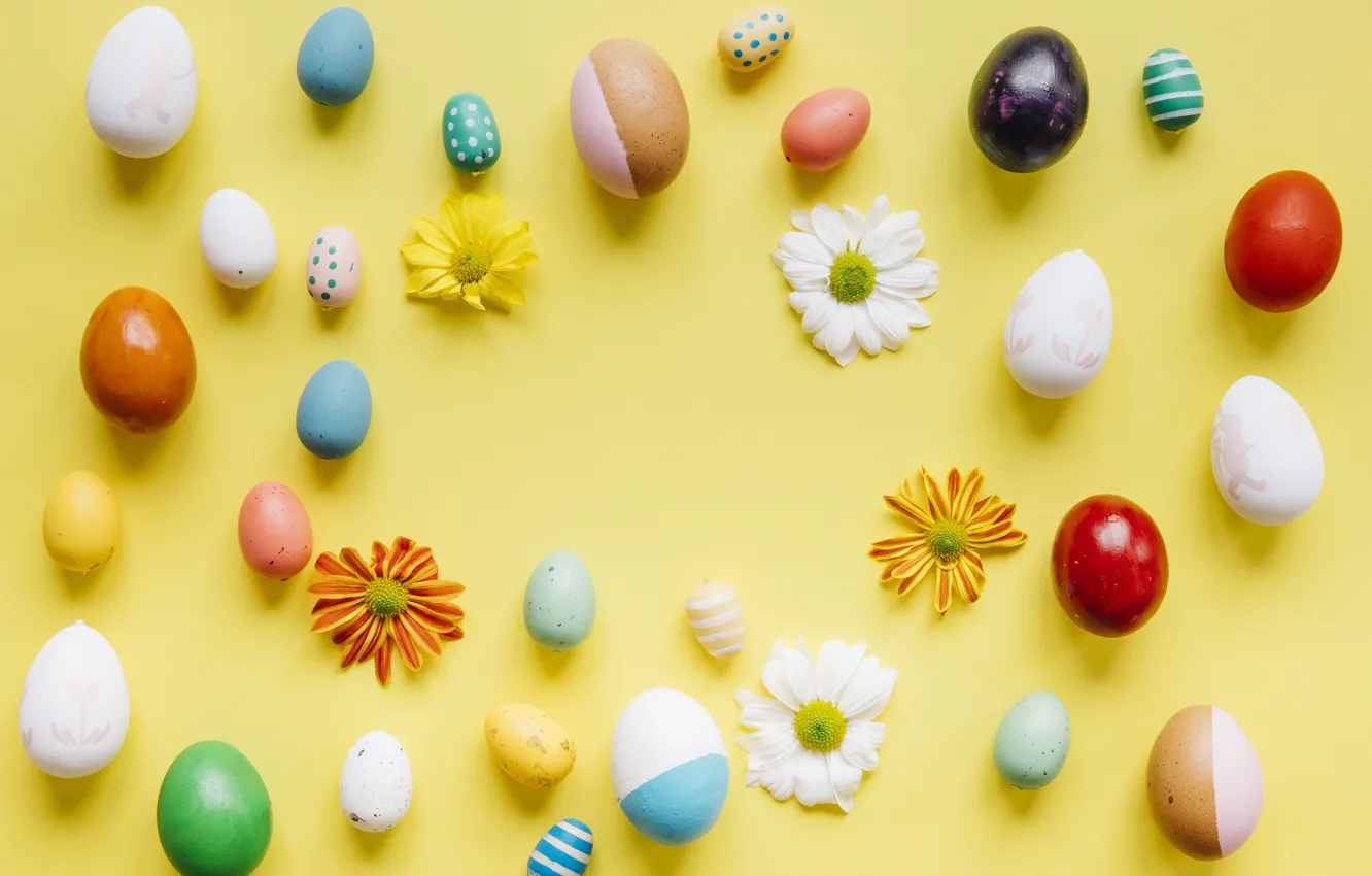 Photo wallpaper flowers, chamomile, spring, colorful, Easter, flowers, spring, Easter