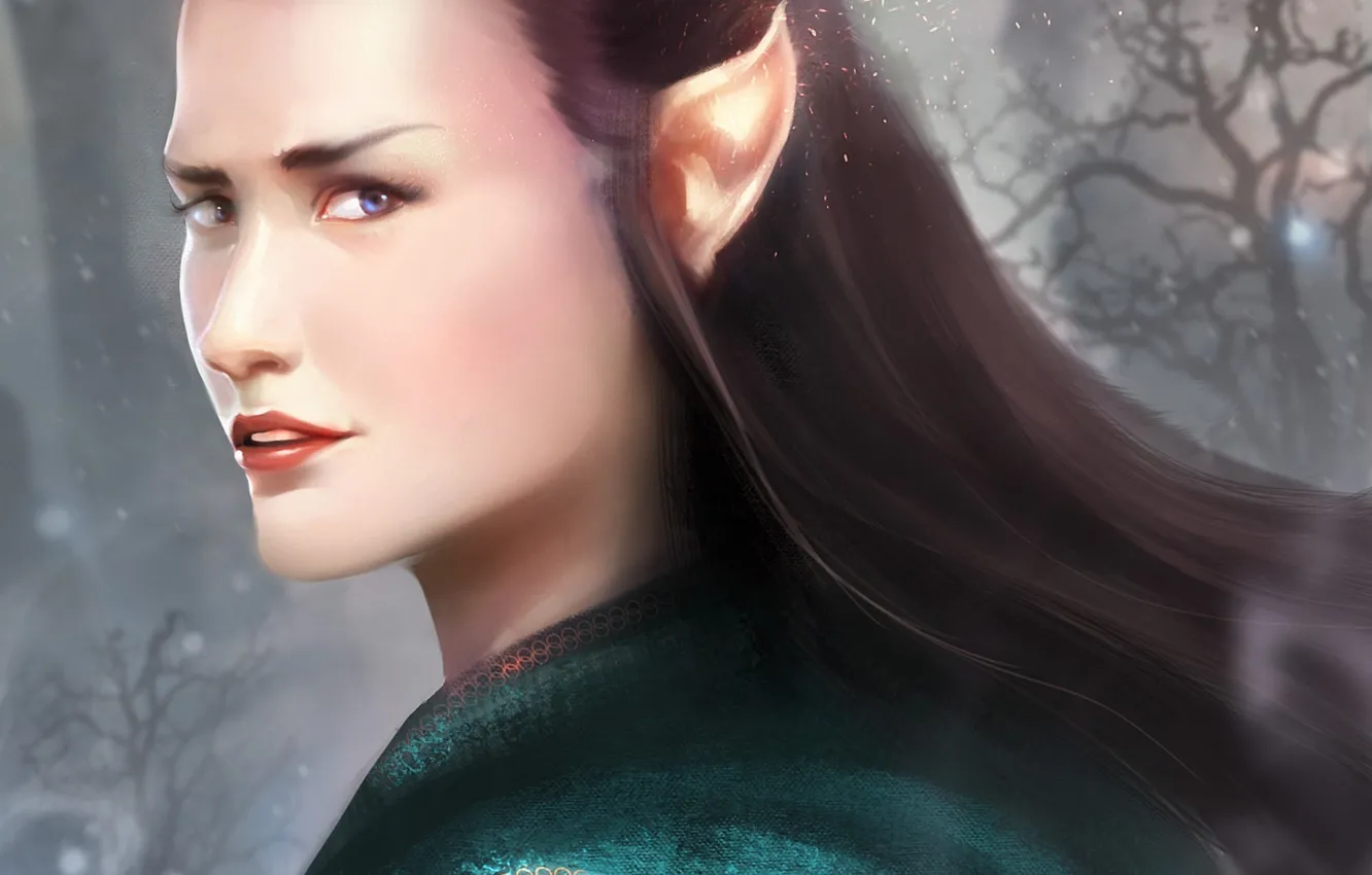 Photo wallpaper face, art, elf, Evangeline Lilly, Evangeline Lilly, Tauriel, The Hobbit: The Desolation Of Smaug, The …
