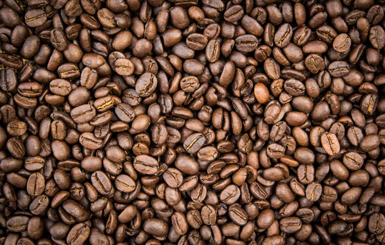 Photo wallpaper background, coffee, grain, texture, background, beans, coffee, roasted