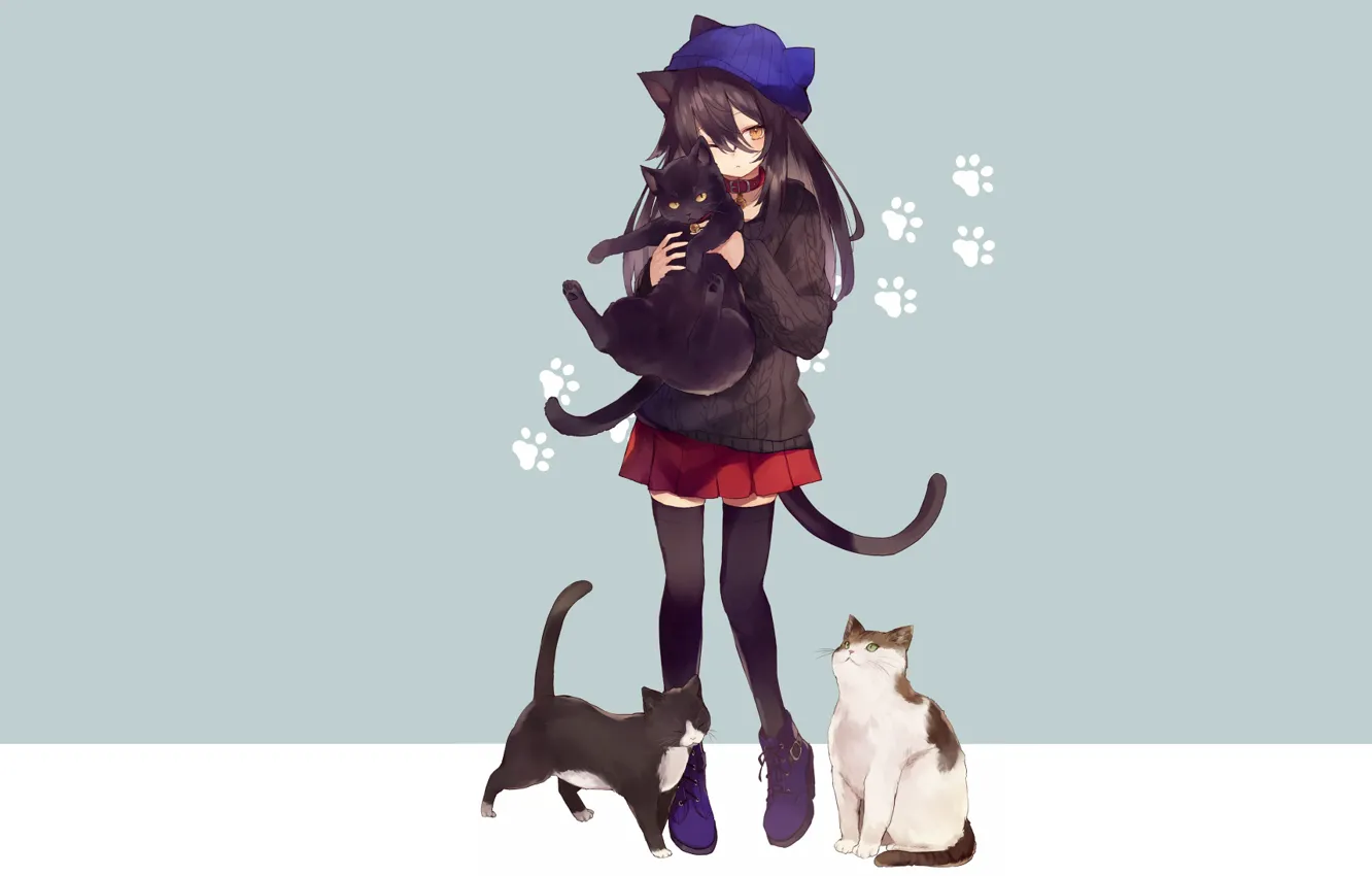 Photo wallpaper cat, cat, cats, anime, girl