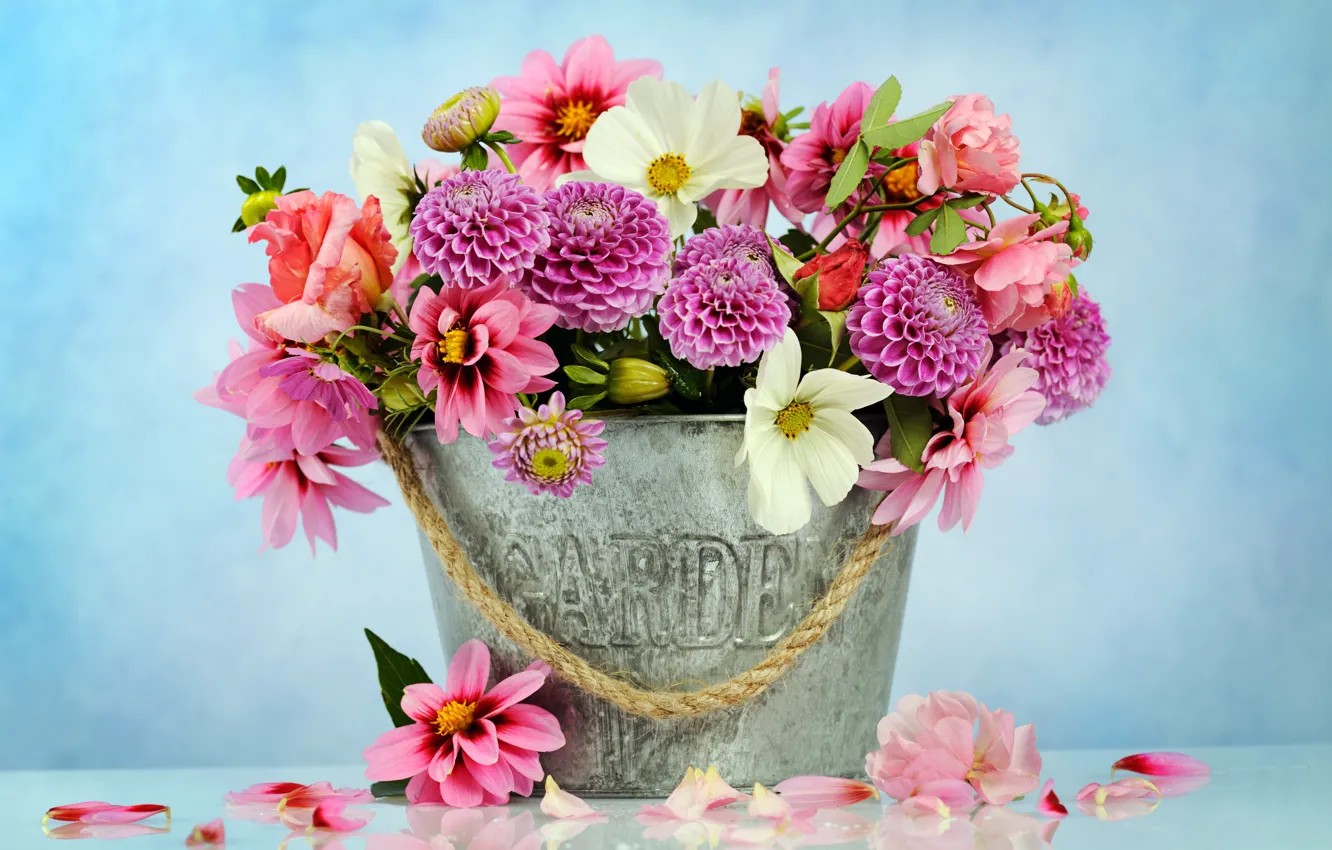 Photo wallpaper flowers, basket, bouquet, pink, chrysanthemum, pink, flowers, beautiful