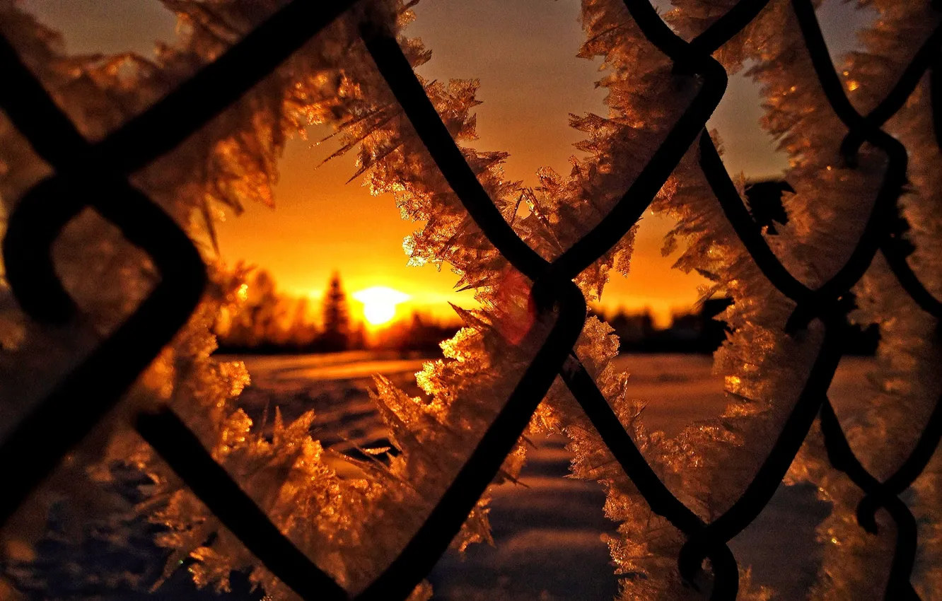 Photo wallpaper ice, winter, the sun, snow, sunset, nature, sunrise, frost