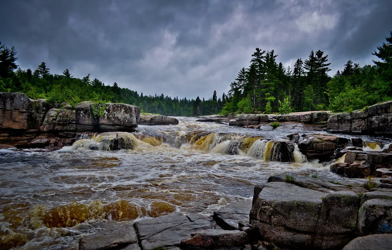 Photo wallpaper forest, the sky, trees, clouds, river, stones, rifts