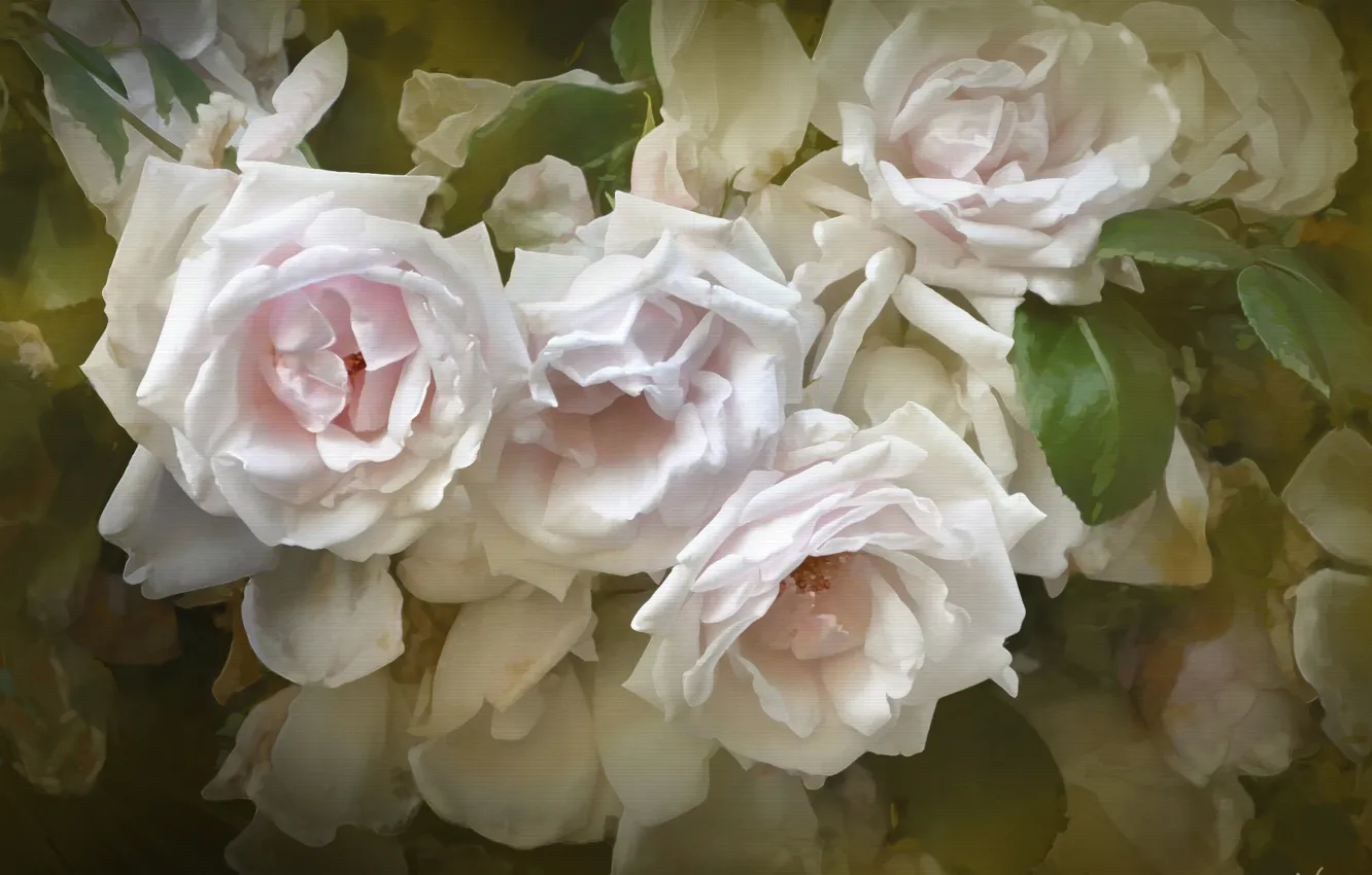 Photo wallpaper roses, texture, petals