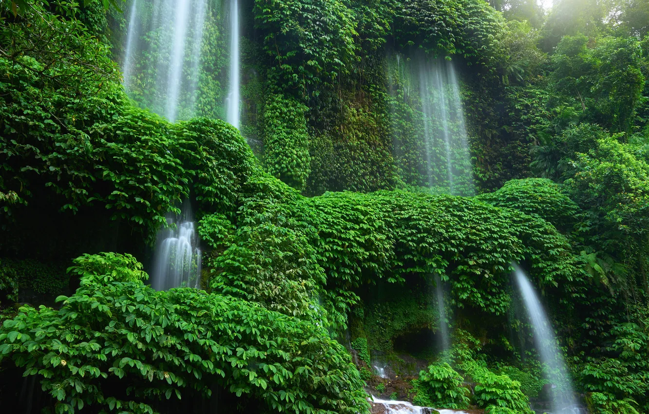 Photo wallpaper greens, summer, nature, rocks, thickets, foliage, waterfall, stream