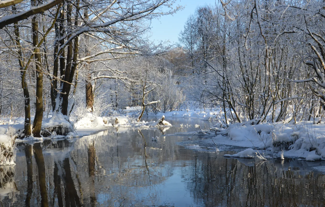 Photo wallpaper winter, snow, trees, frost, river, river, trees, winter