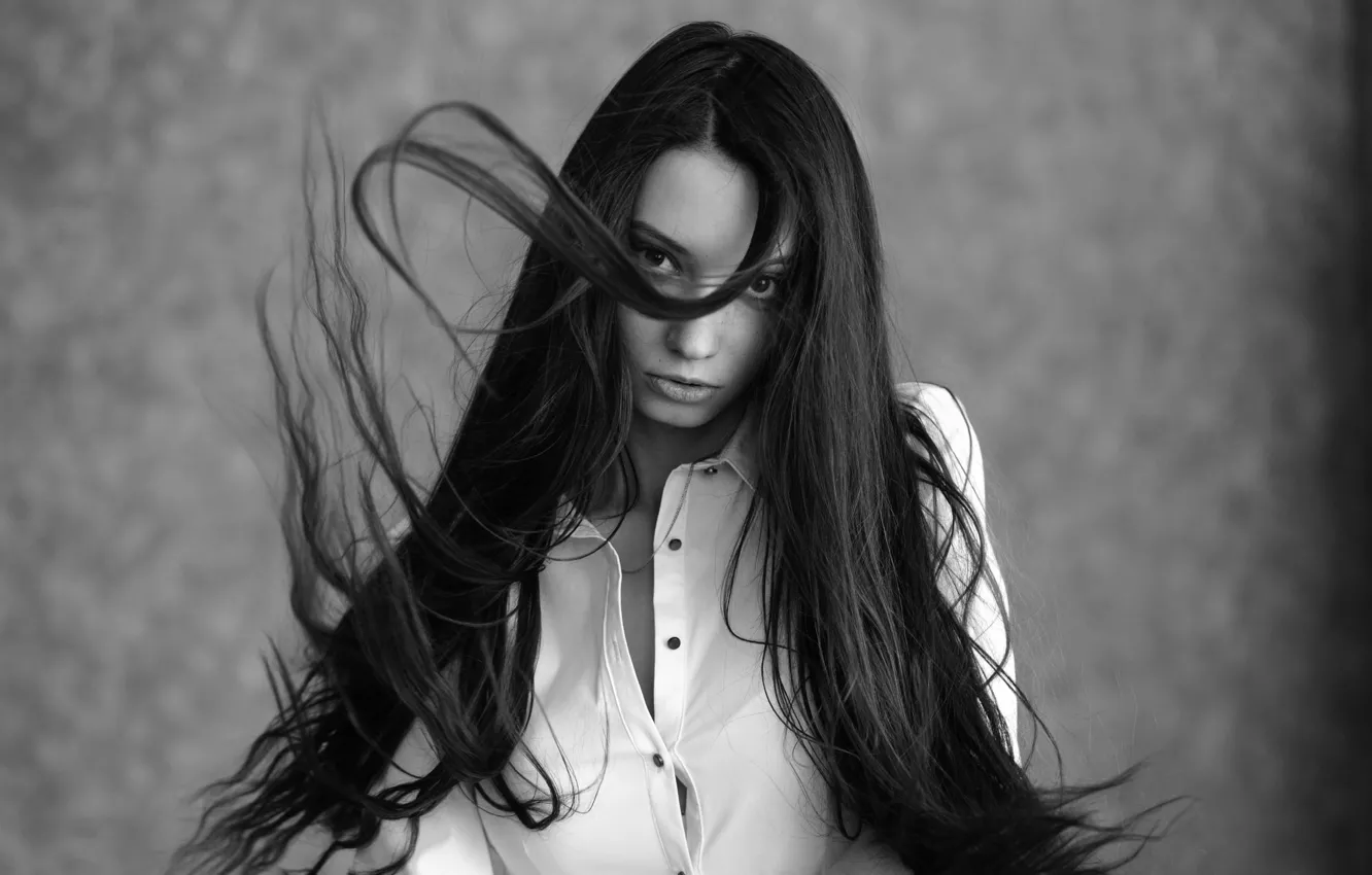 Photo wallpaper hair, sponge, stroke, b & W photograph