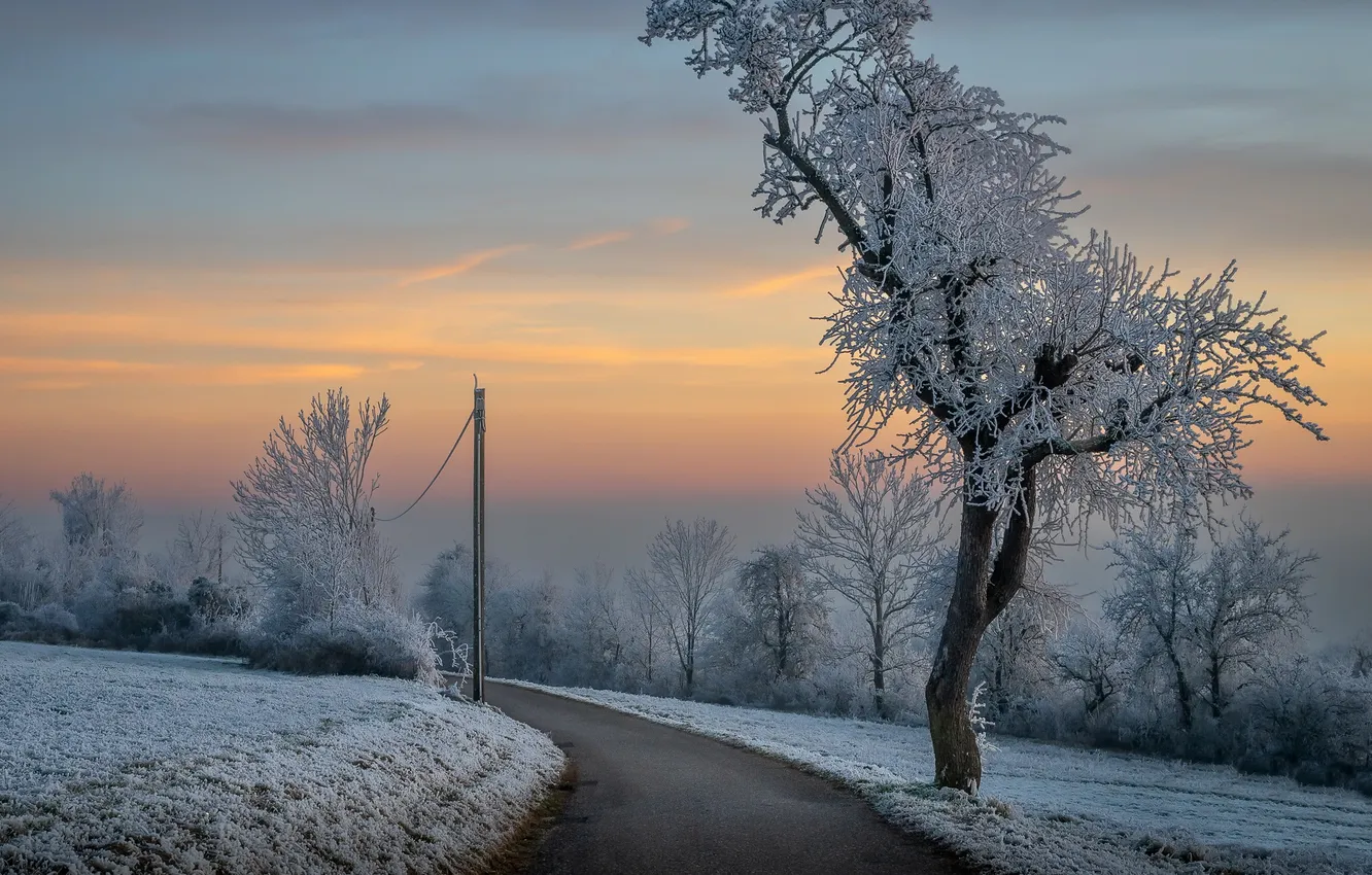 Photo wallpaper winter, road, the evening