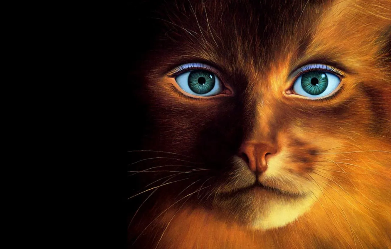 Photo wallpaper eyes, picture, Catwoman, Jim Warren, American artist, Human face, Jim Warren