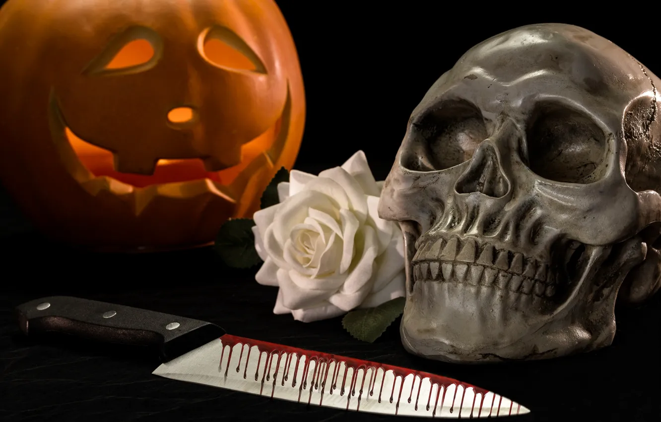 Photo wallpaper blood, rose, skull, knife, pumpkin, Halloween