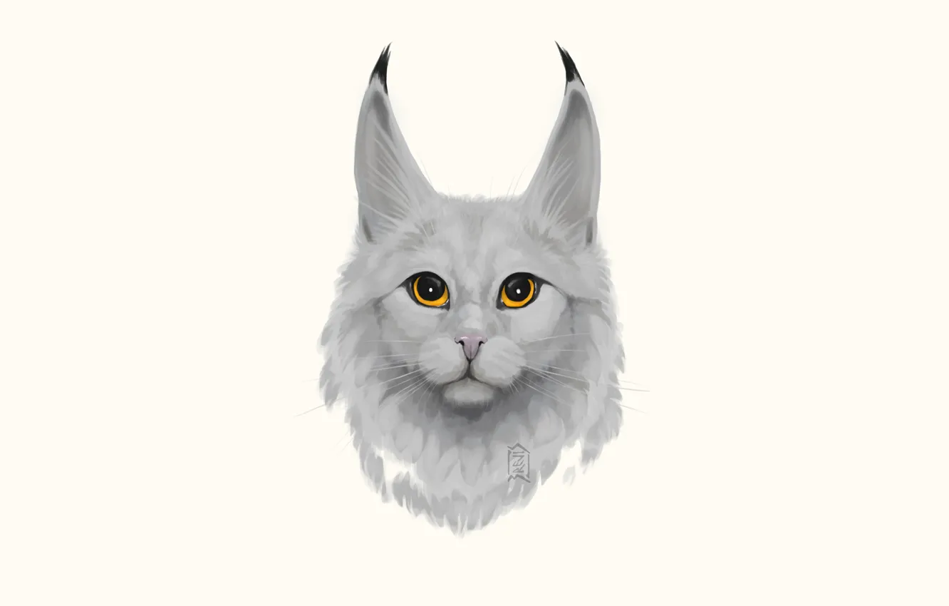 Photo wallpaper cat, eyes, look, wool