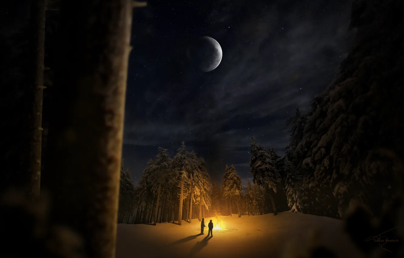 Photo wallpaper winter, forest, snow, trees, night, people, glade, the fire