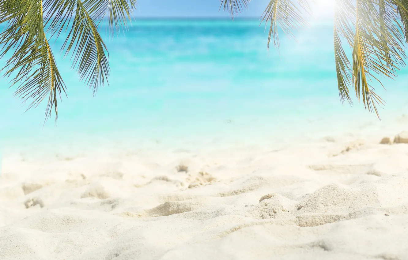 Photo wallpaper sand, sea, beach, summer, the sky, the sun, palm trees, shore