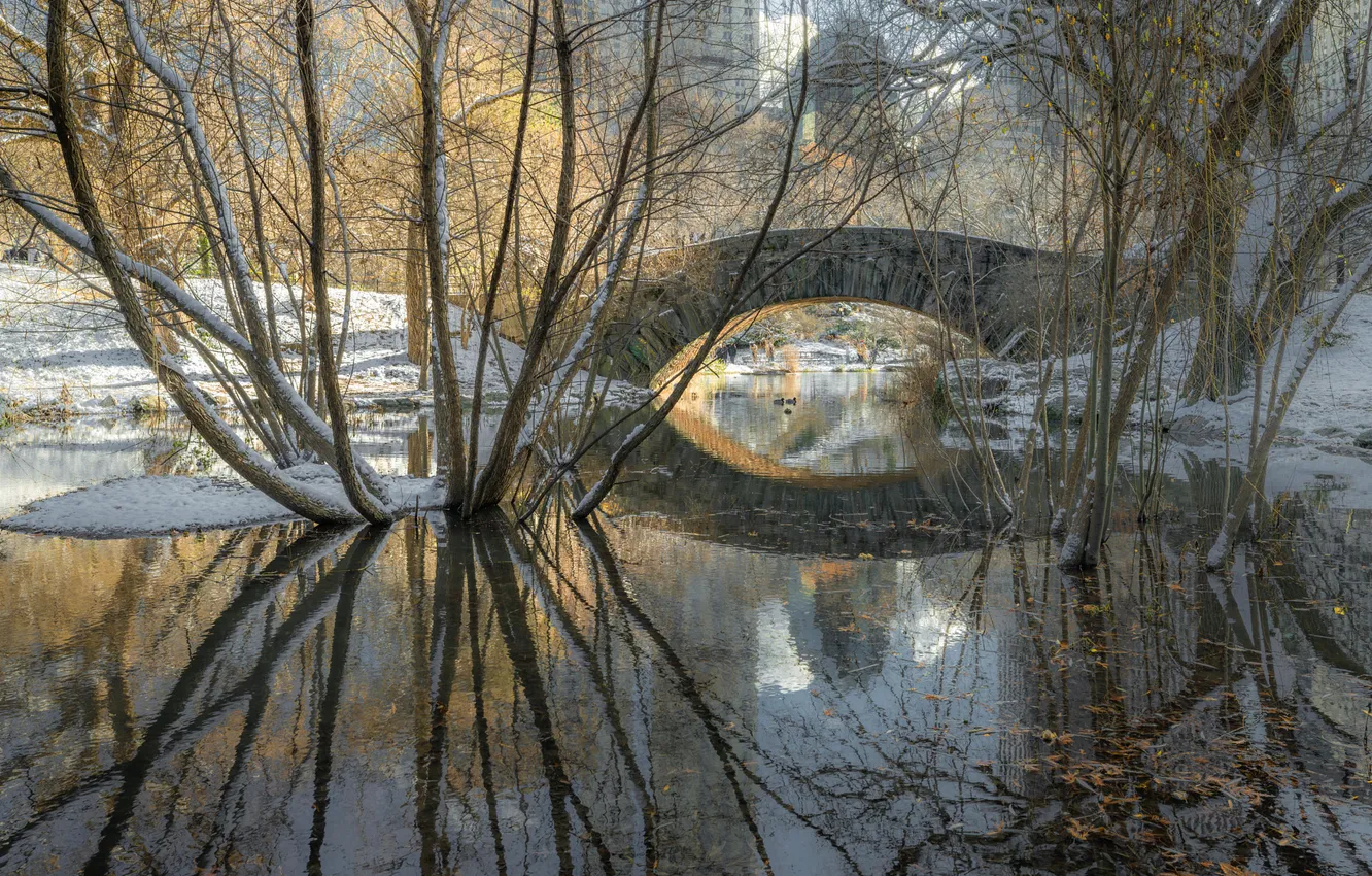 Photo wallpaper winter, bridge, nature, lake, Park, New York