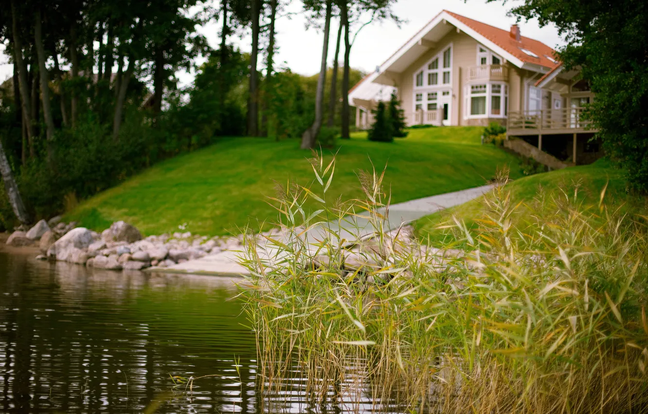 Photo wallpaper the sky, grass, clouds, trees, landscape, nature, lake, grass