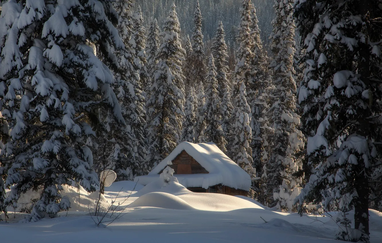 Photo wallpaper winter, forest, snow, hut, ate, the snow, hut, Russia