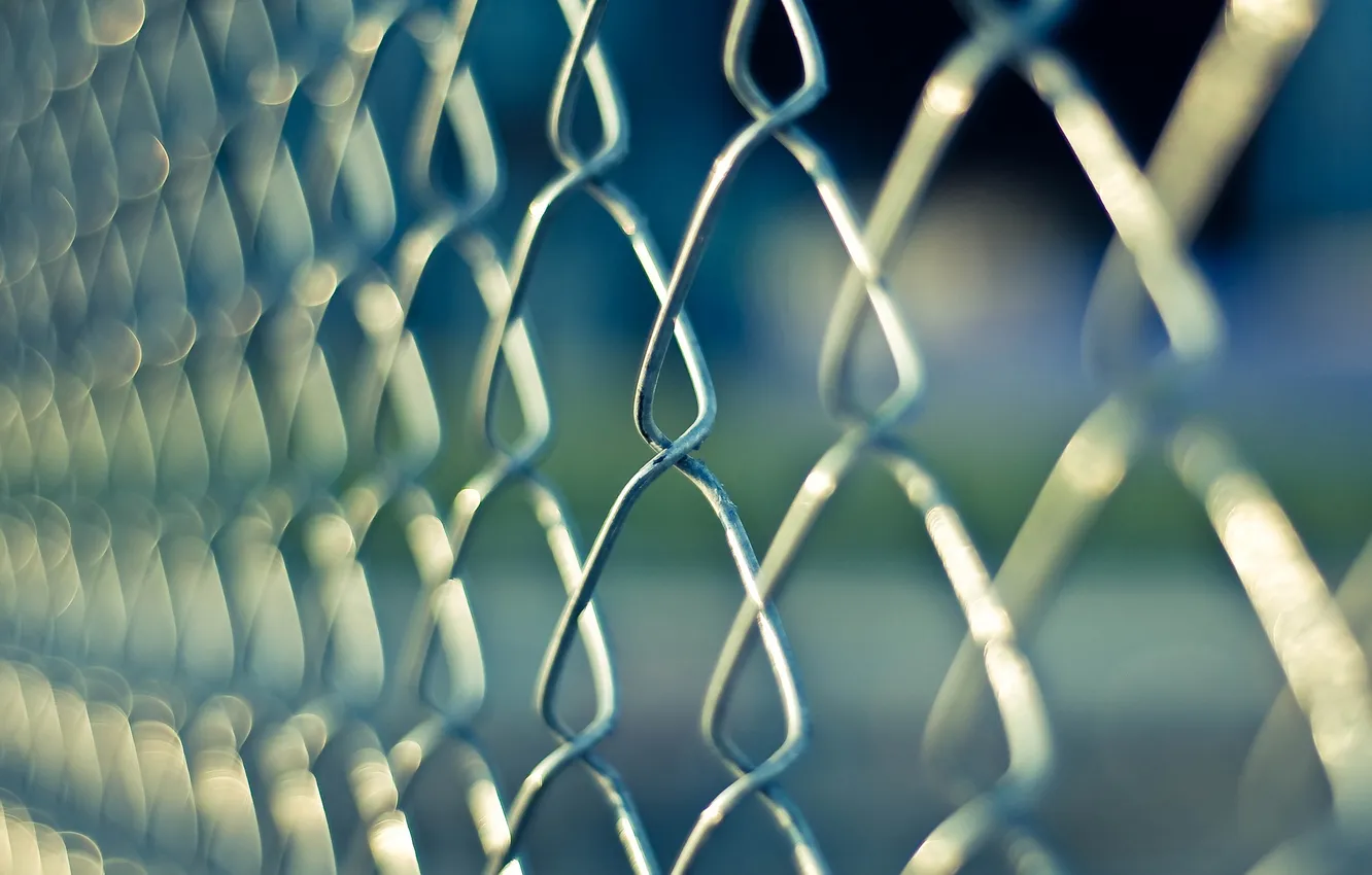Photo wallpaper metal, mesh, the fence, border, link