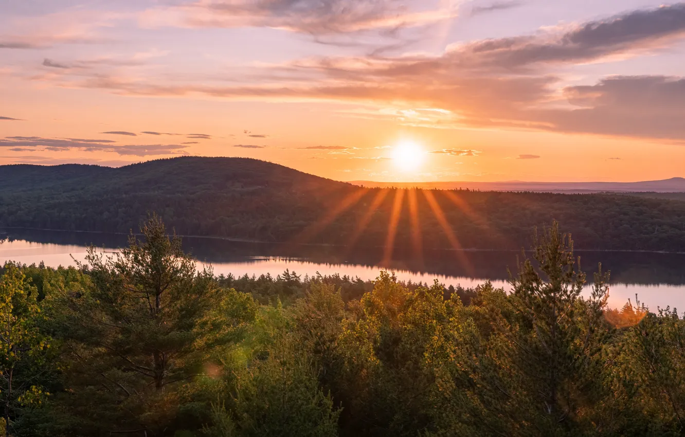 Photo wallpaper forest, the sky, the sun, clouds, rays, light, sunset, mountains