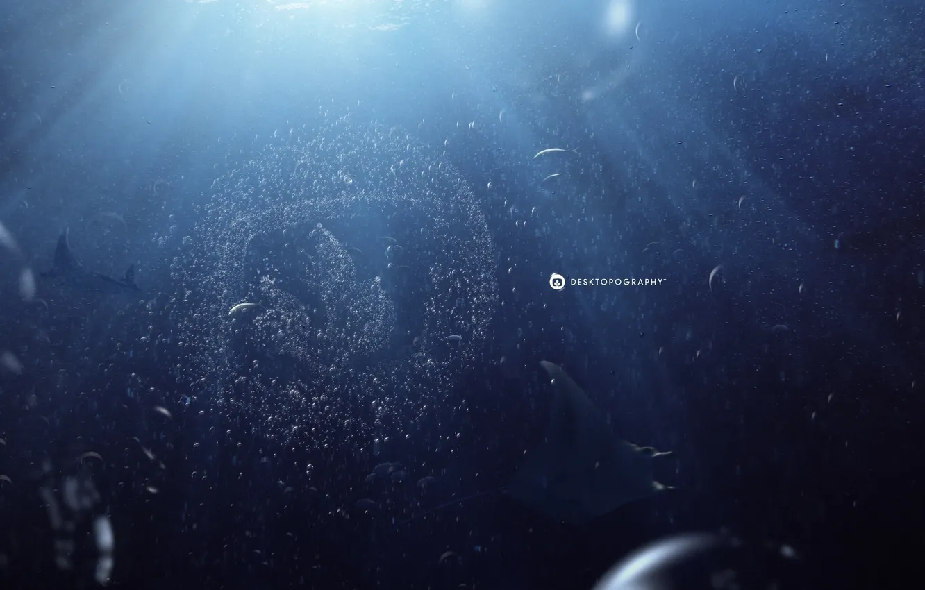 Photo wallpaper bubbles, emblem, SKAT, under water, desktopography