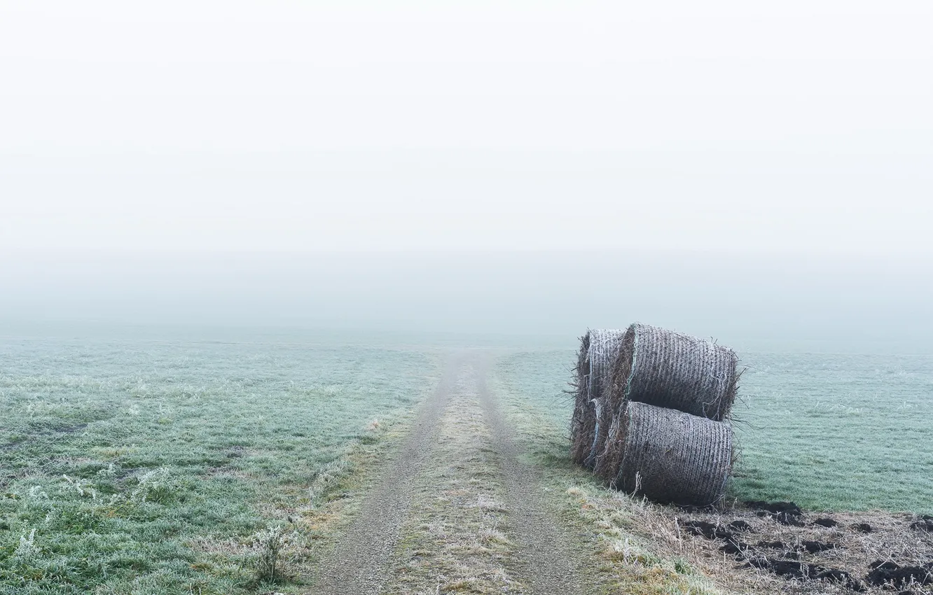 Photo wallpaper road, fog, hay
