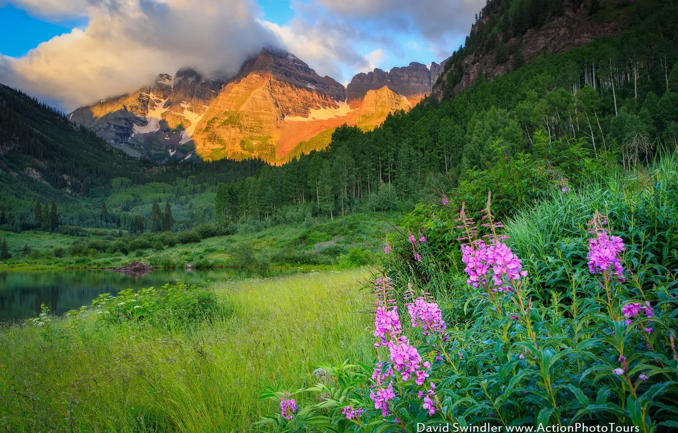 Photo wallpaper flowers, mountains, nature, lake