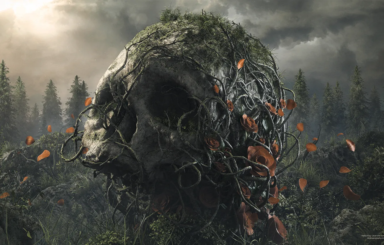 Photo wallpaper forest, roots, skull, the evening, petals, sake, desktopography