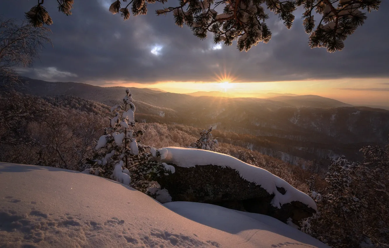 Photo wallpaper winter, the sun, rays, snow, landscape, sunset, mountains, branches