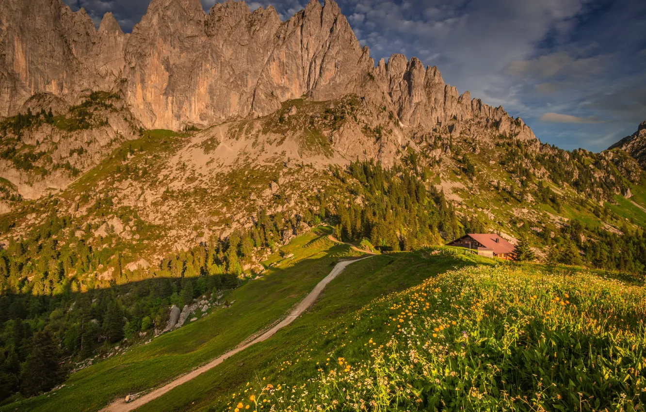 Photo wallpaper greens, grass, the sun, clouds, trees, flowers, mountains, stones