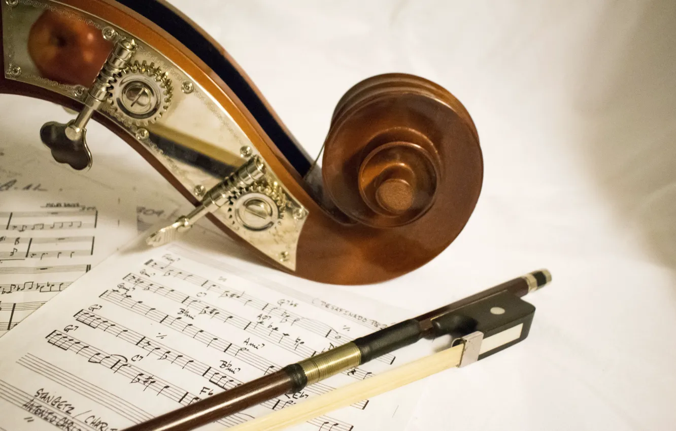 Photo wallpaper macro, notes, violin, bow, PICK