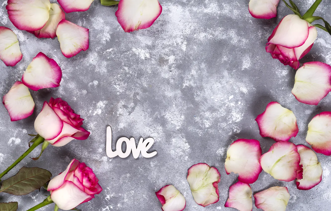 Photo wallpaper flowers, gift, roses, petals, love, pink, white, pink