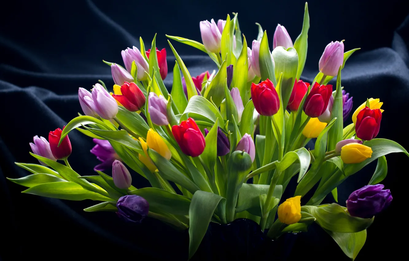 Photo wallpaper bouquet, tulips, colorful