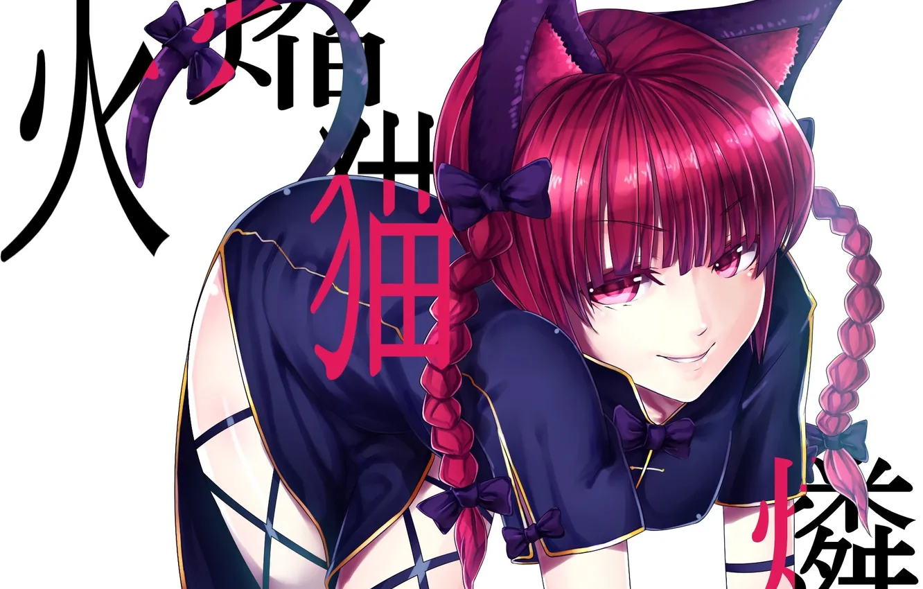 Photo wallpaper look, girl, pose, smile, tail, braids, neko, ears