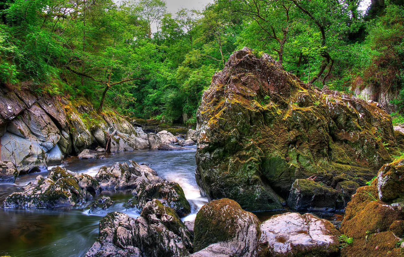 Photo wallpaper the sky, trees, river, stones, rocks, stream, Snowdonia