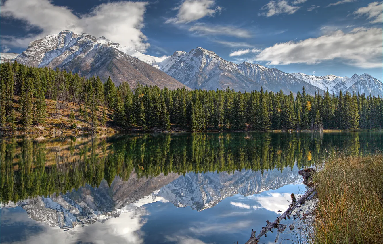 Photo wallpaper forest, the sky, trees, mountains, lake, slope