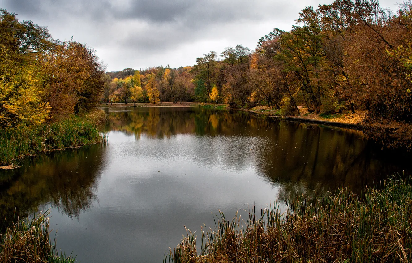 Photo wallpaper autumn, leaves, water, trees, branches, lake