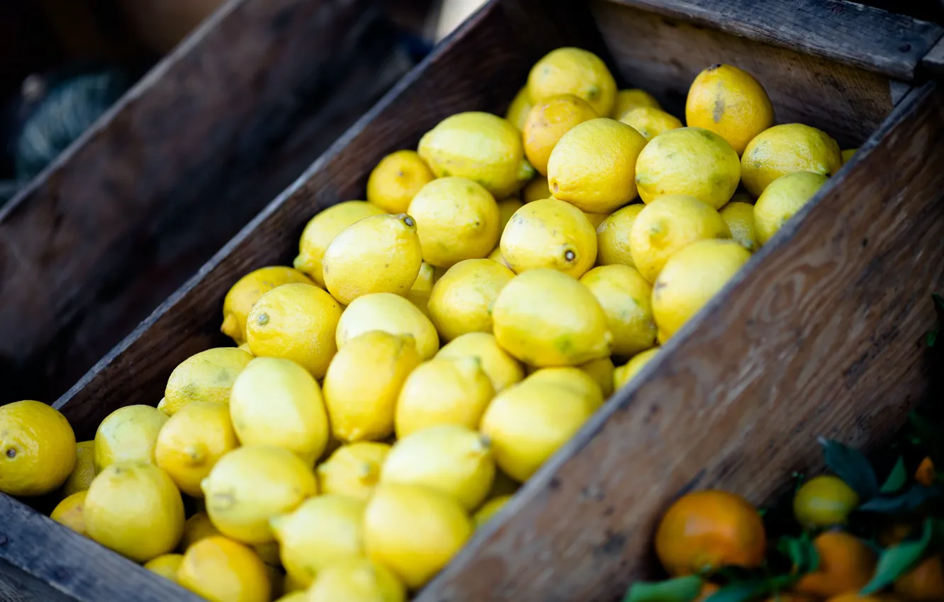 Photo wallpaper lemon, a lot, box, harvest, fruit