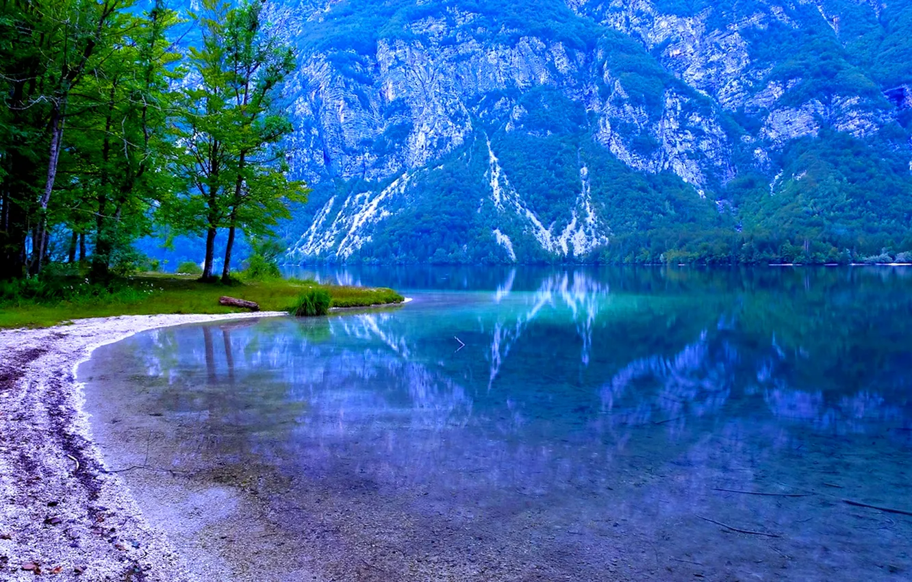 Photo wallpaper trees, mountains, lake, slope