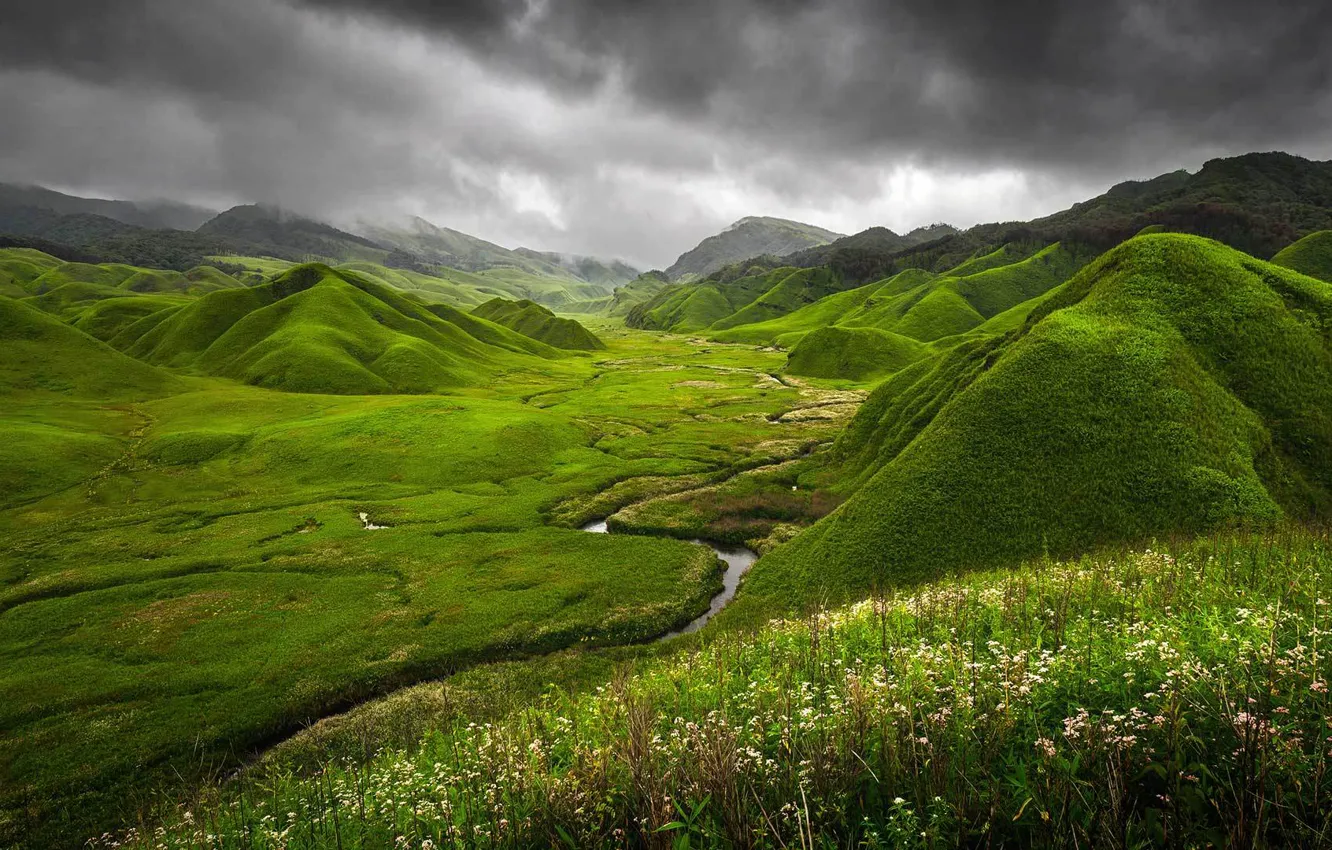 Photo wallpaper grass, flowers, mountains, clouds, nature, river, India, Green Dzukou