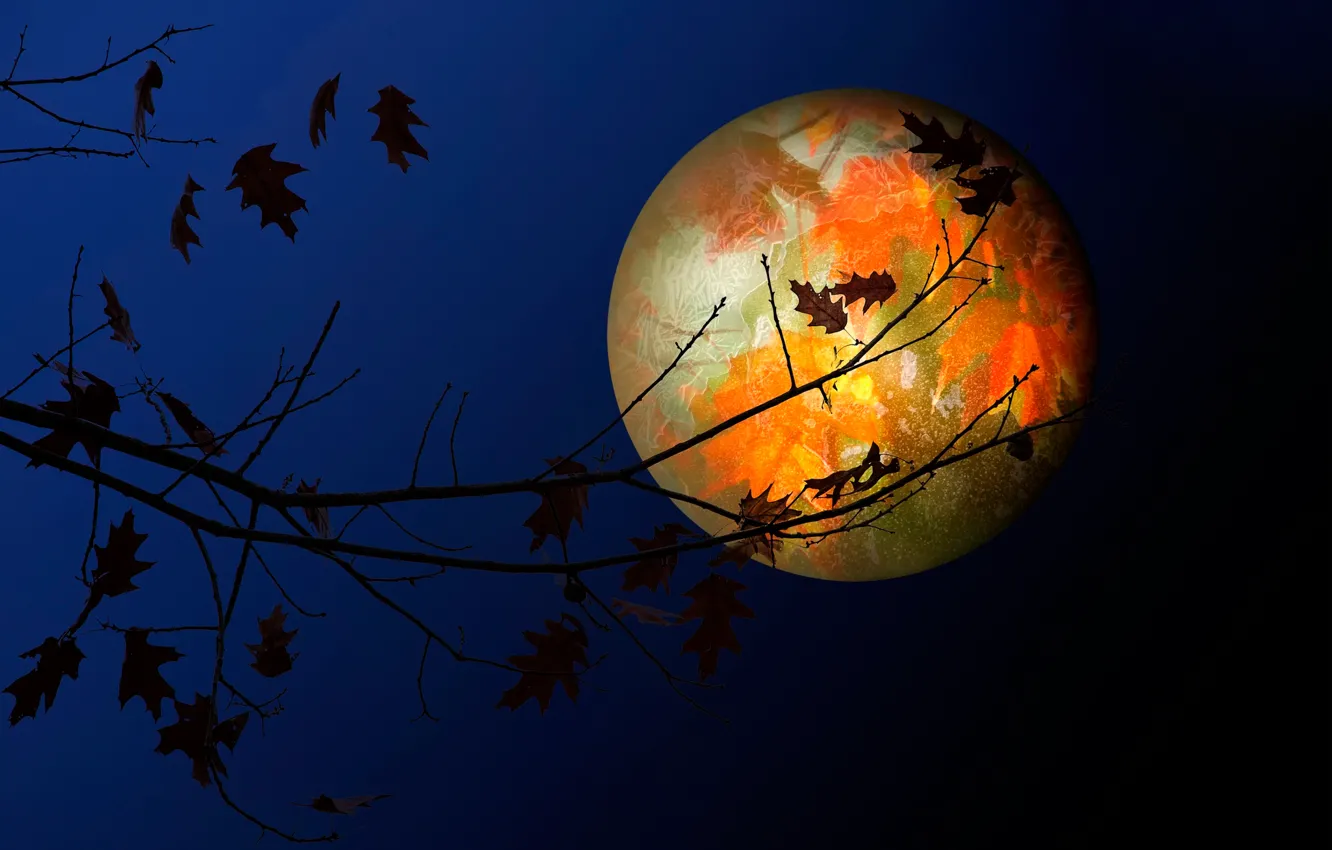 Photo wallpaper leaves, the moon, texture