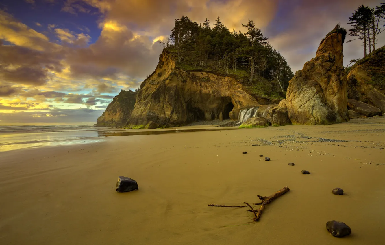 Photo wallpaper beach, trees, shore, Oregon, USA, scal
