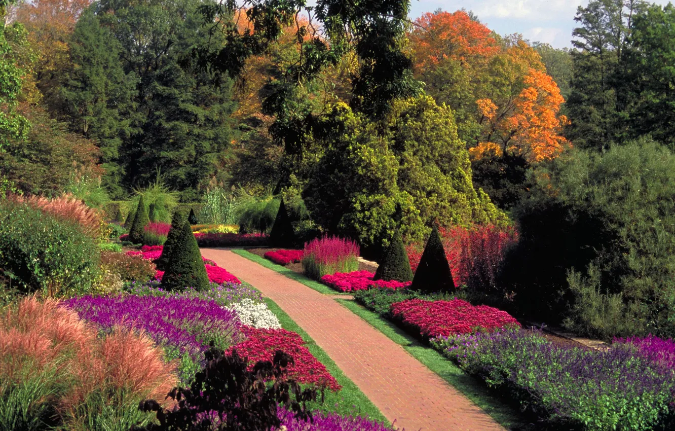 Photo wallpaper the sky, trees, flowers, nature, Park, plant, garden, sky