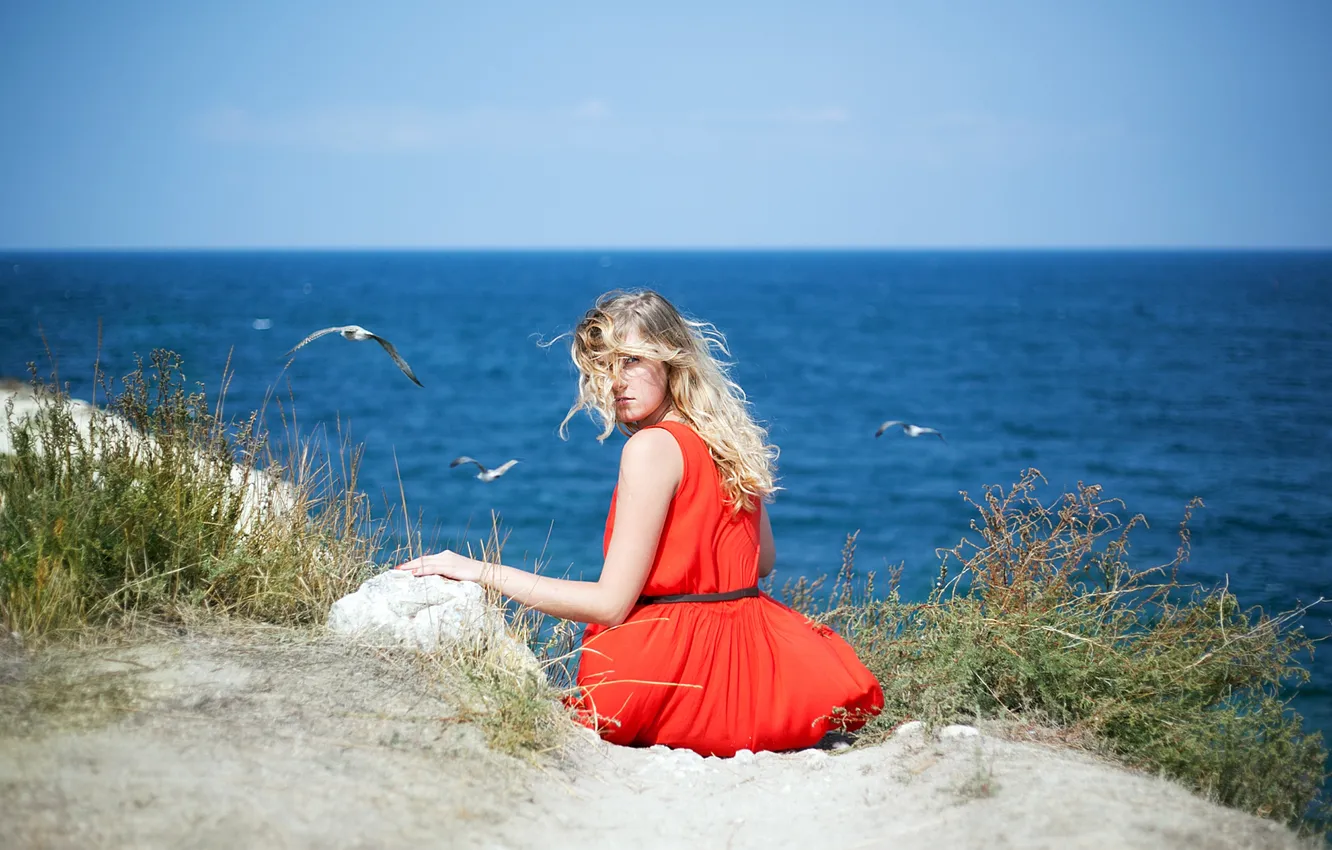 Photo wallpaper sea, the sky, red, coast, black, seagulls, dress, horizon