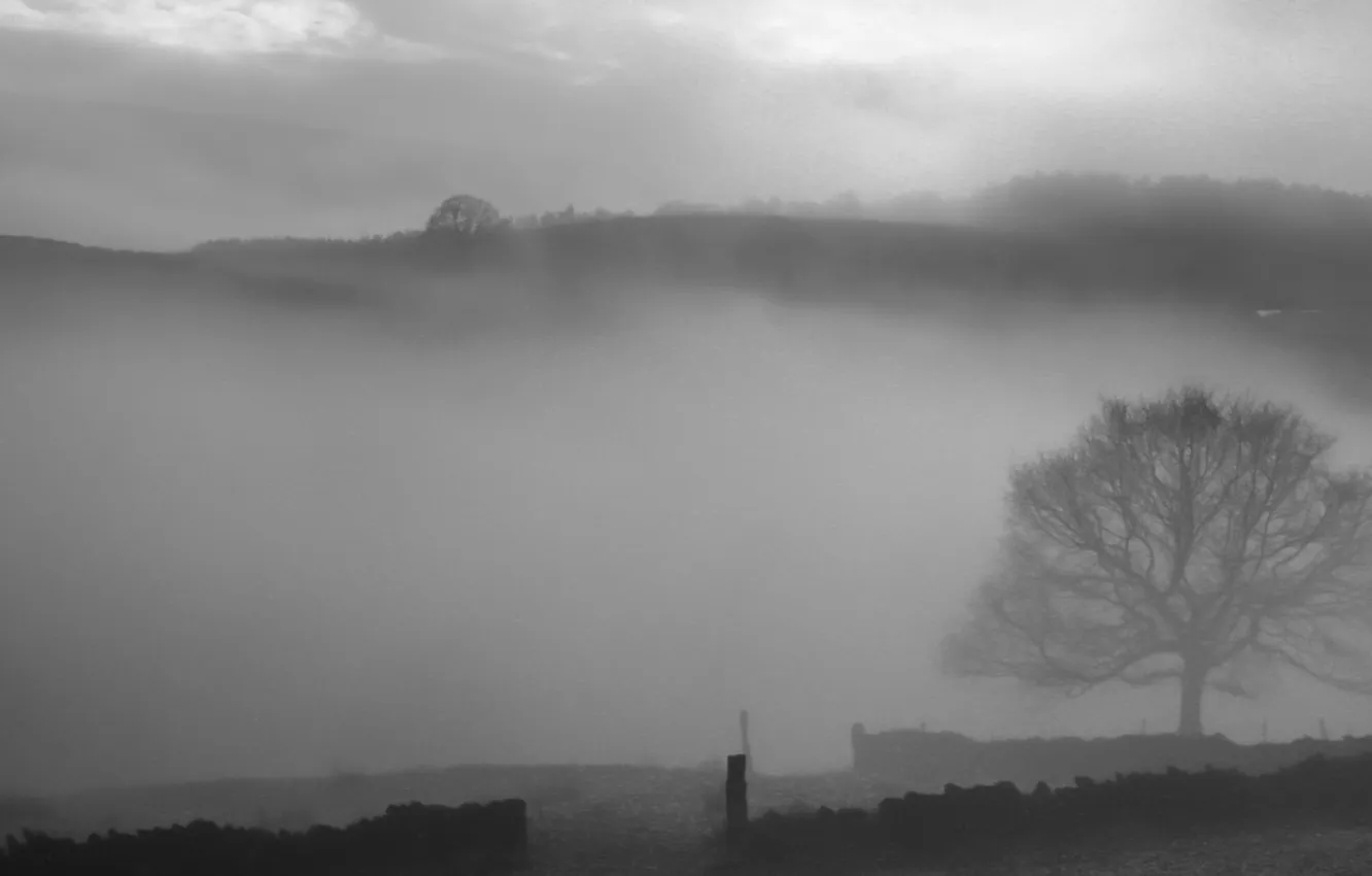 Photo wallpaper landscape, nature, fog, silhouette, dervla