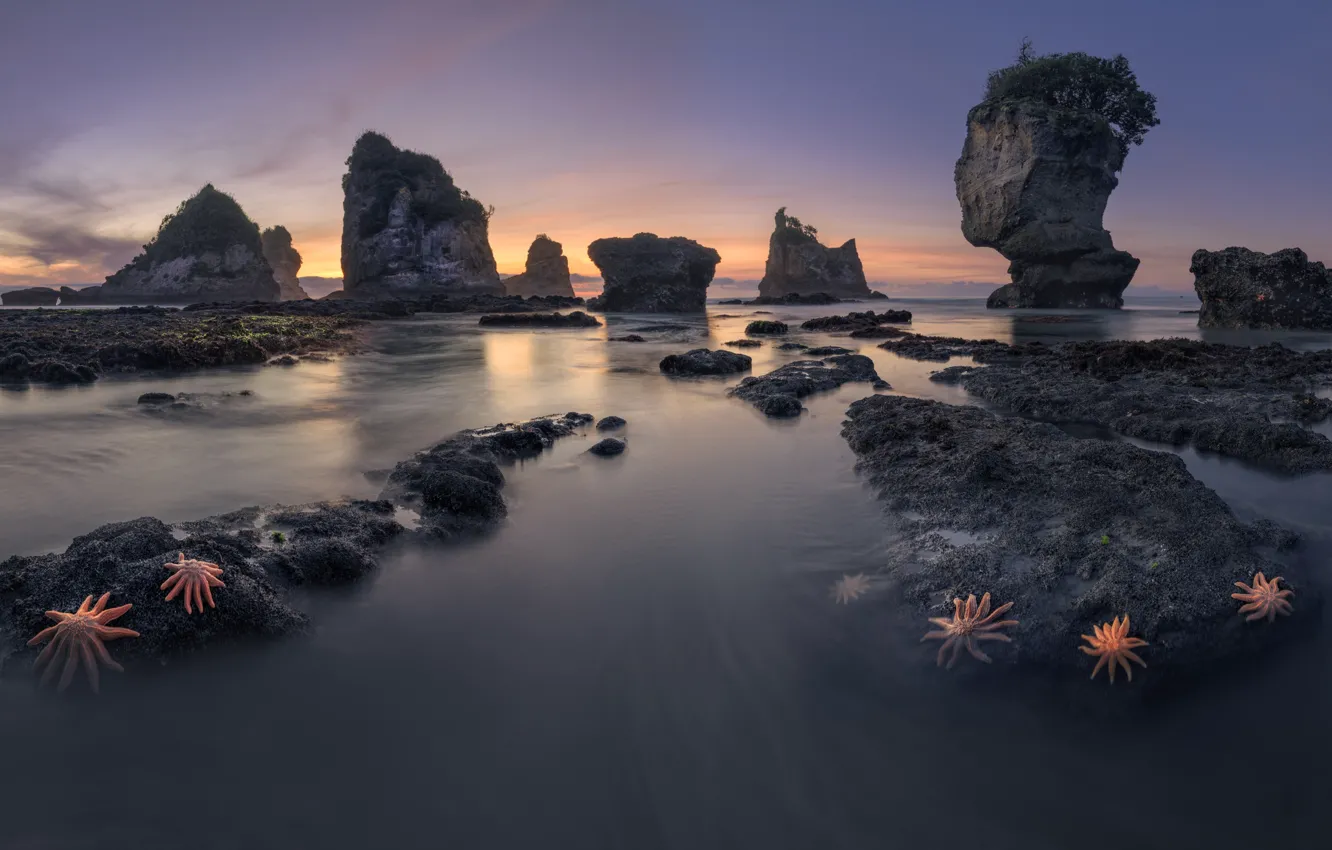 Photo wallpaper landscape, nature, stones, the ocean, rocks, New Zealand, starfish, Motukiekie Beach