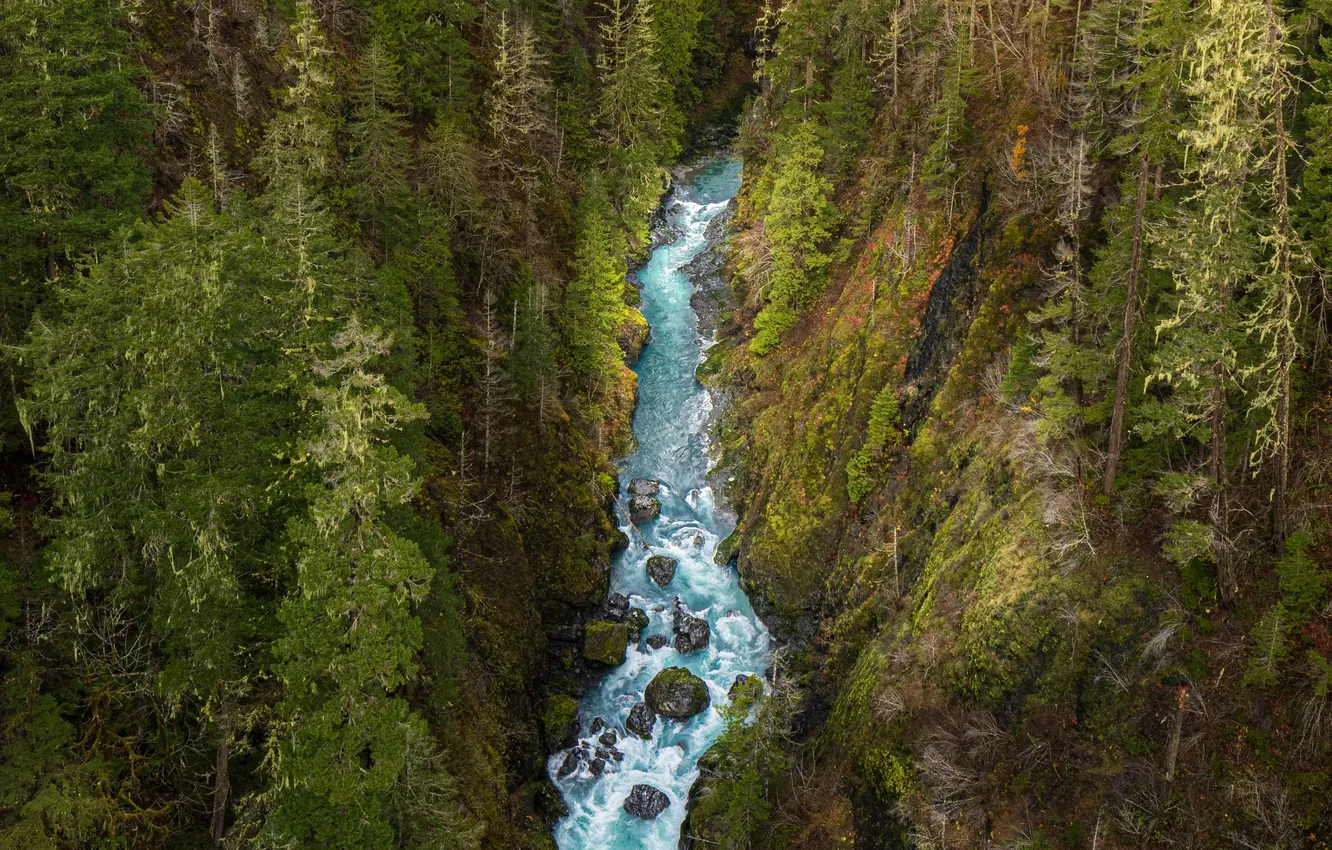 Photo wallpaper forest, trees, landscape, mountains, nature, river, stones, rocks