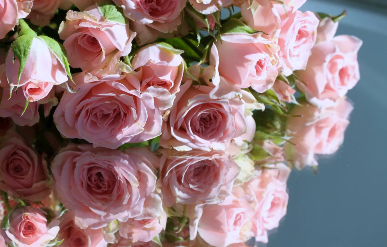 Photo wallpaper reflection, roses, pink