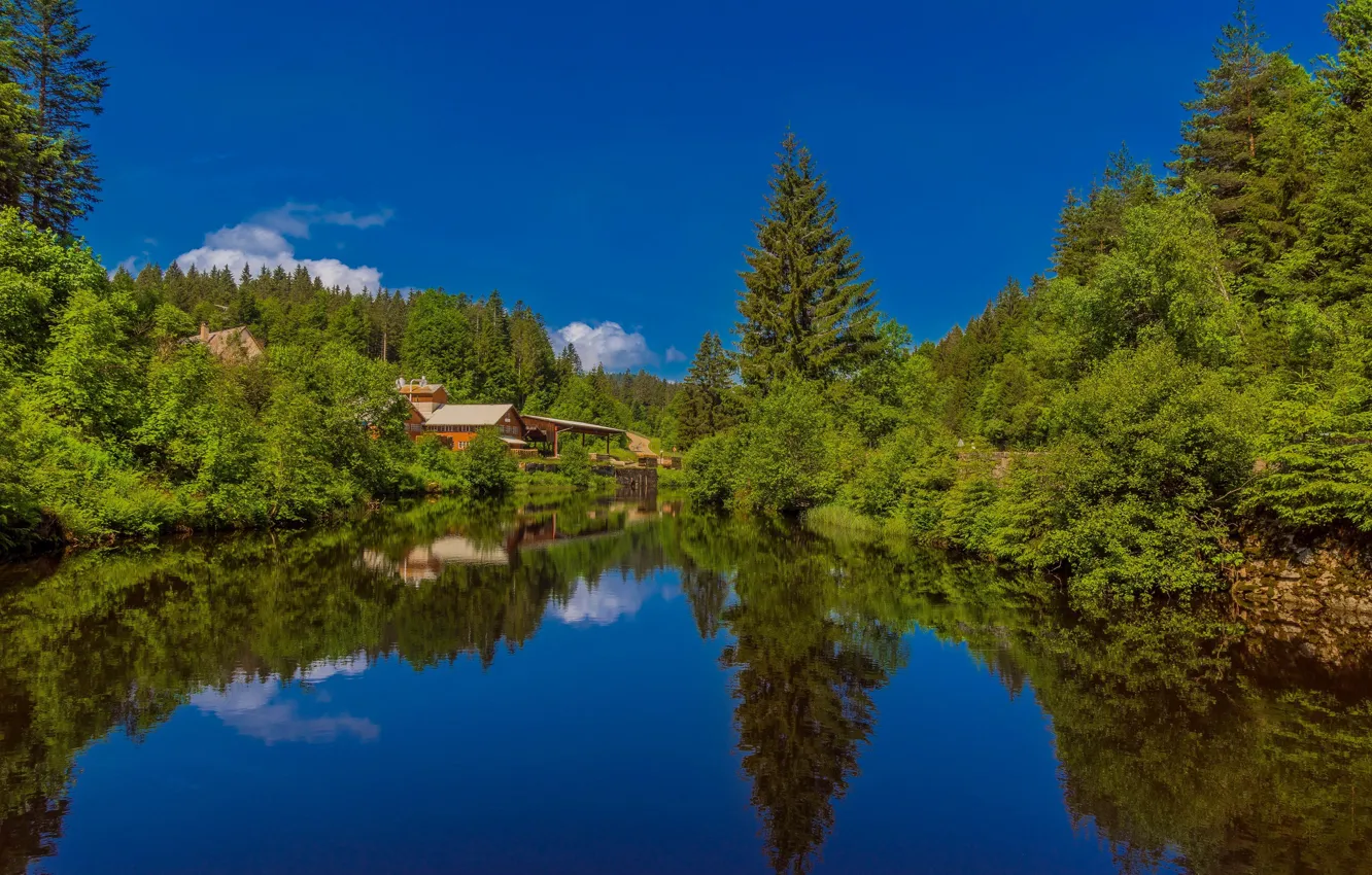 Photo wallpaper forest, lake, reflection, home, Germany, Germany, Baden-Württemberg, Baden-Württemberg