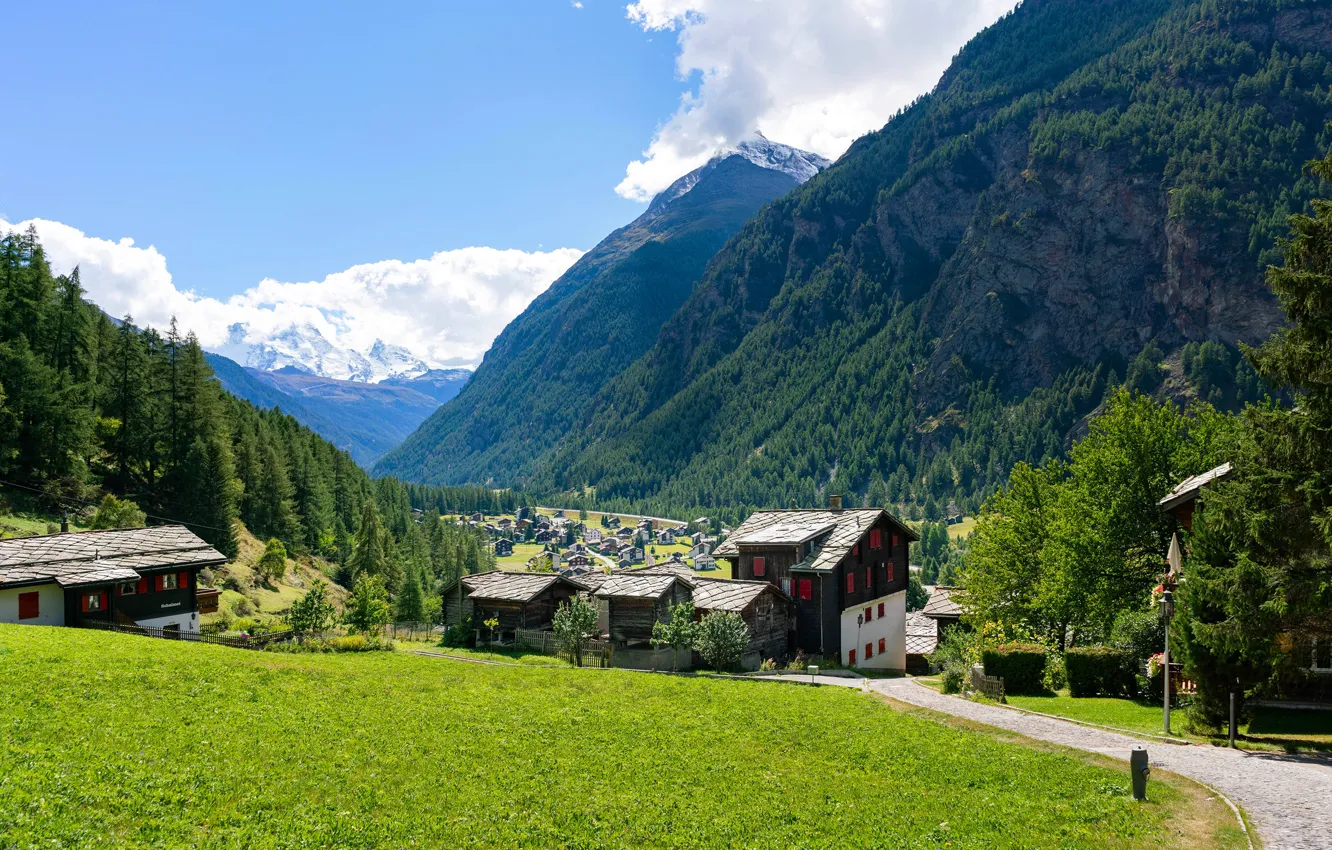 Photo wallpaper greens, forest, the sky, the sun, clouds, trees, mountains, rocks