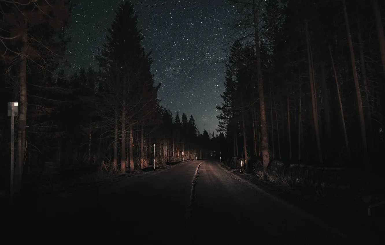 Photo wallpaper road, forest, the sky, stars, night, darkness
